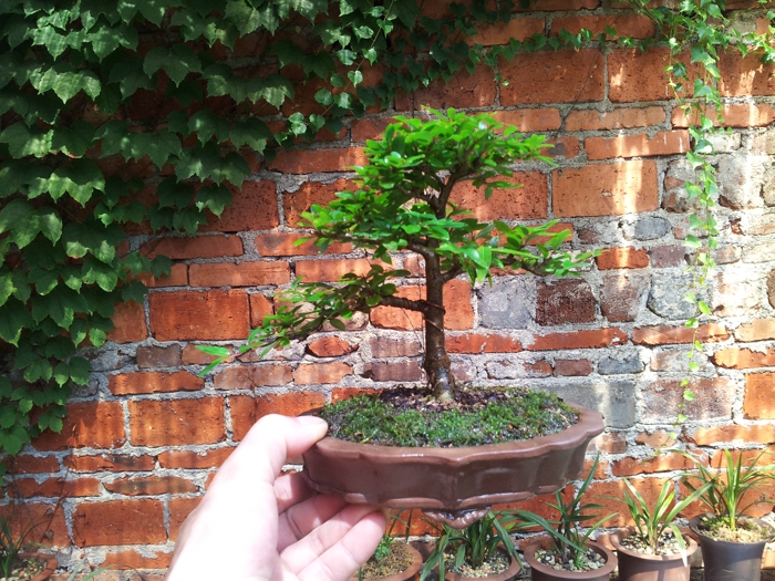 20130625_104000.jpg