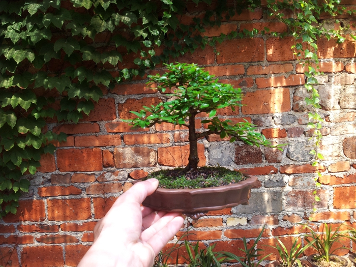 20130625_104016.jpg