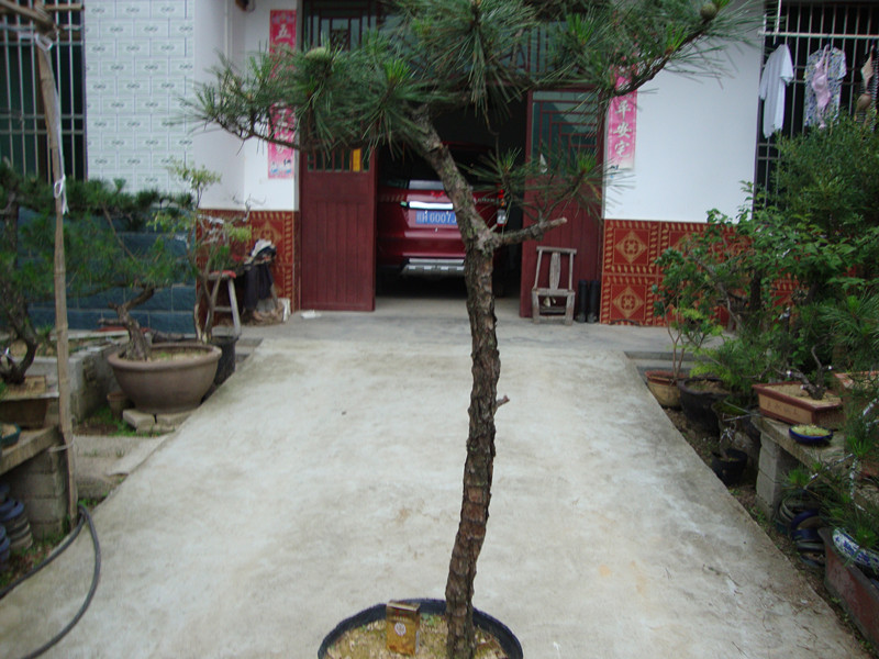 DSC01237_.jpg