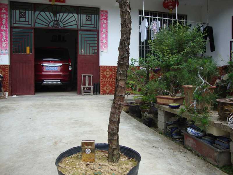 DSC01239_.jpg