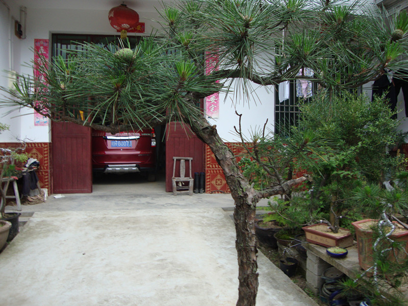 DSC01240_.jpg