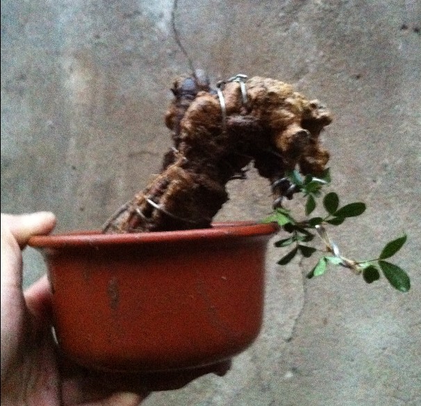 QQͼ20130705194748.jpg
