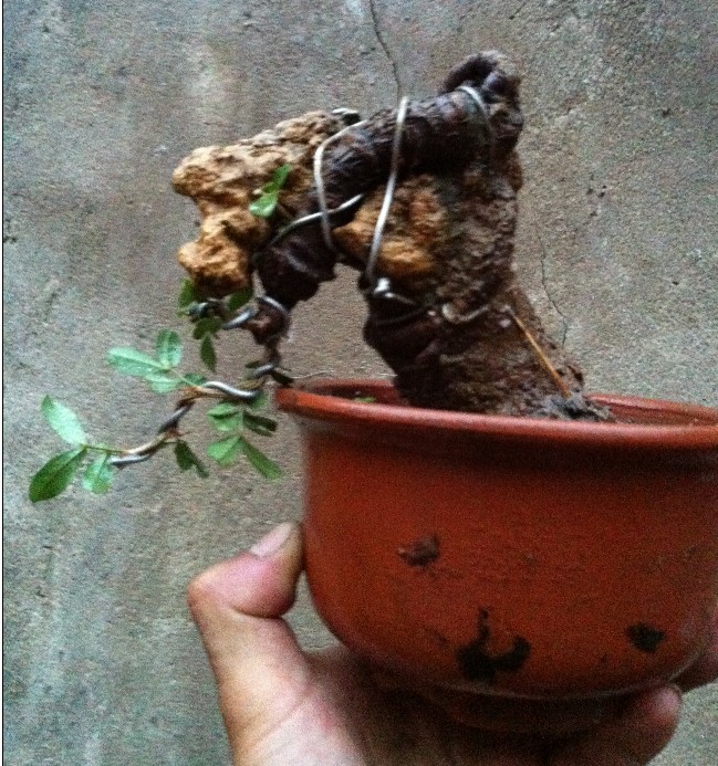 QQͼ20130705194724.jpg