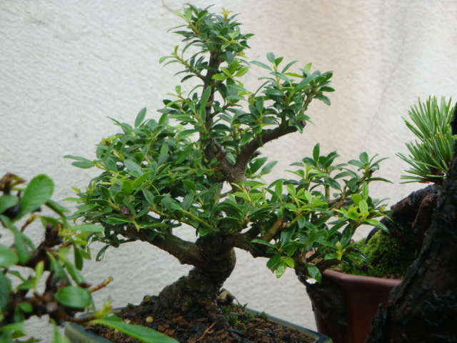 DSC04447.JPG