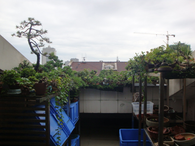 DSC04404.JPG