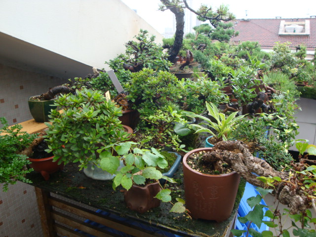 DSC04406.JPG