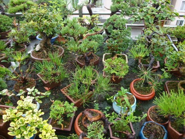 DSC04409.JPG
