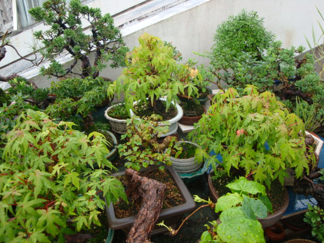 DSC04413.JPG