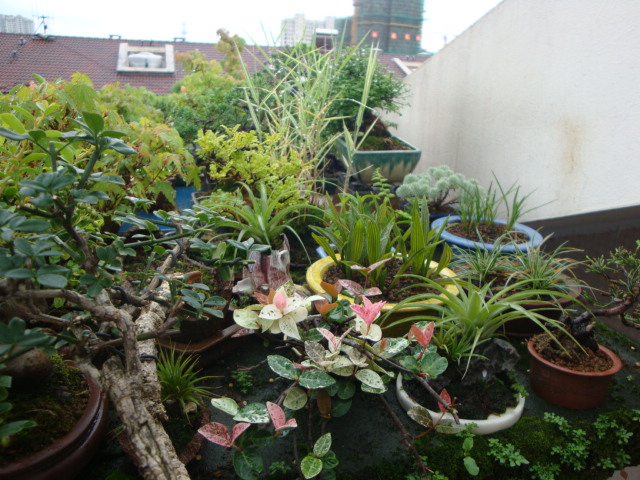 DSC04414.JPG