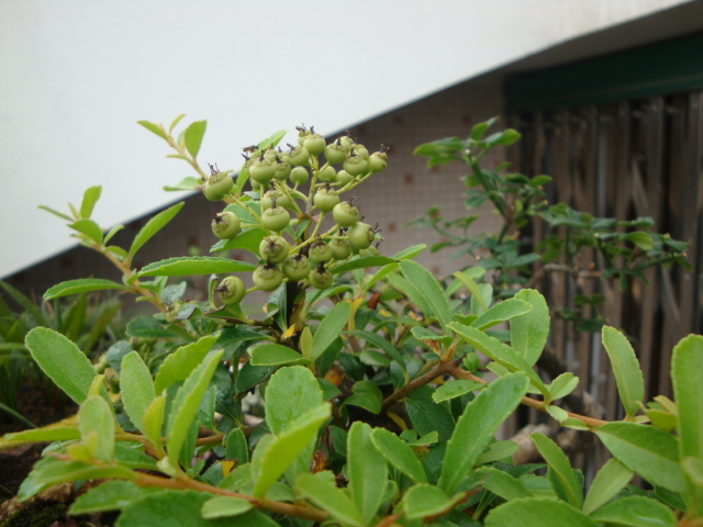 DSC04434.JPG