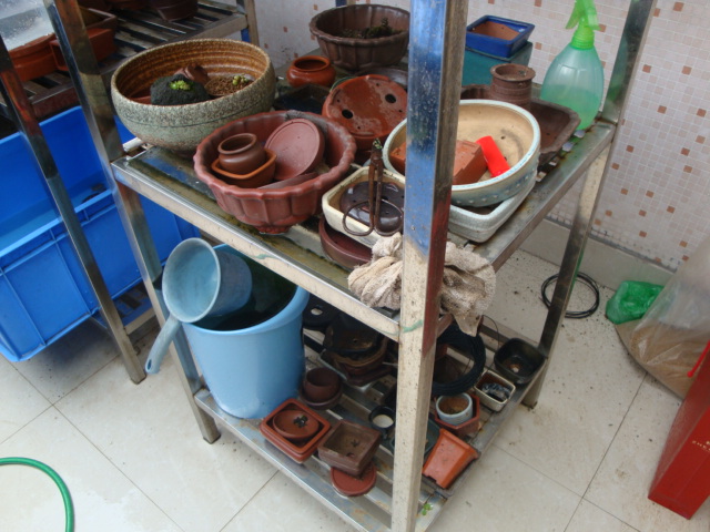 DSC04445.JPG