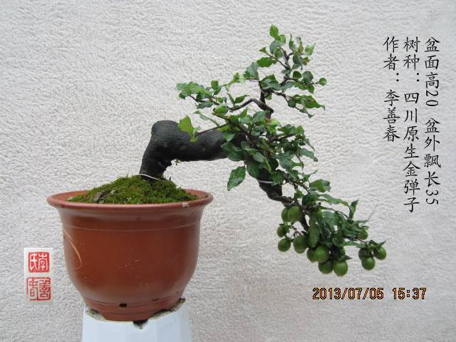 IMG_1852_.jpg