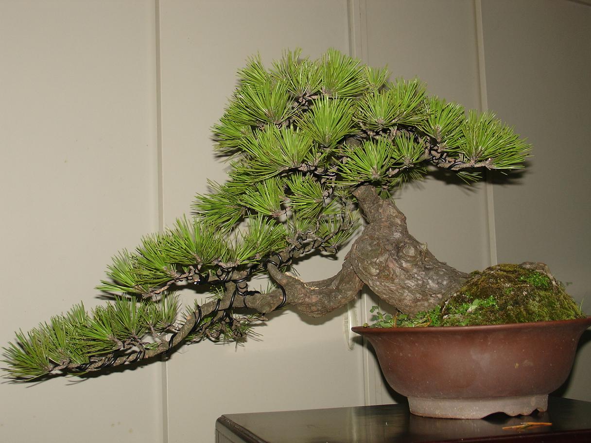 DSC00500.JPG