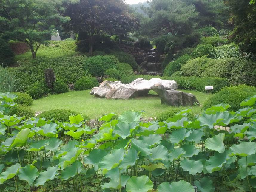 IMG_20130706_111834.jpg