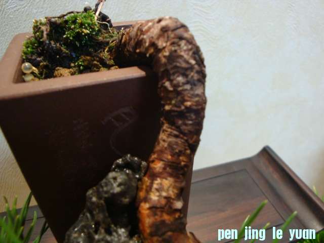 DSC04382.JPG