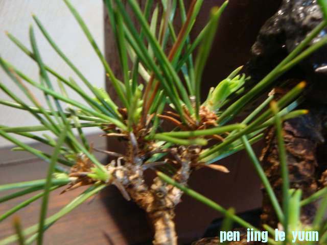 DSC04380.JPG