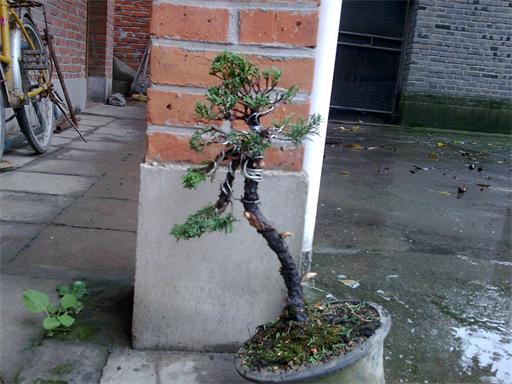 ͼ216.jpg