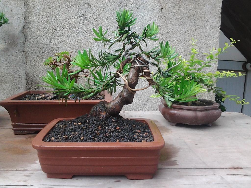 2013-07-04 09.38.33.jpg