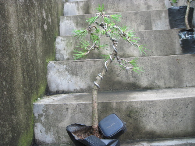 13-07-08С 001.jpg