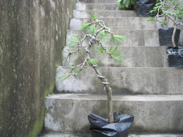 13-07-08С 002.jpg