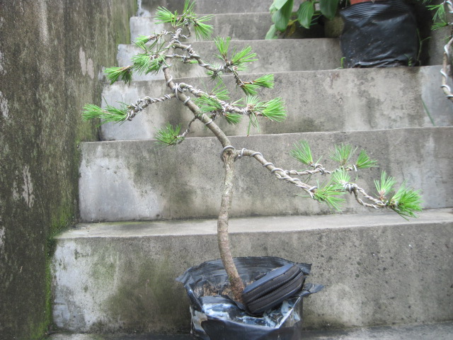 13-07-08С 003.jpg