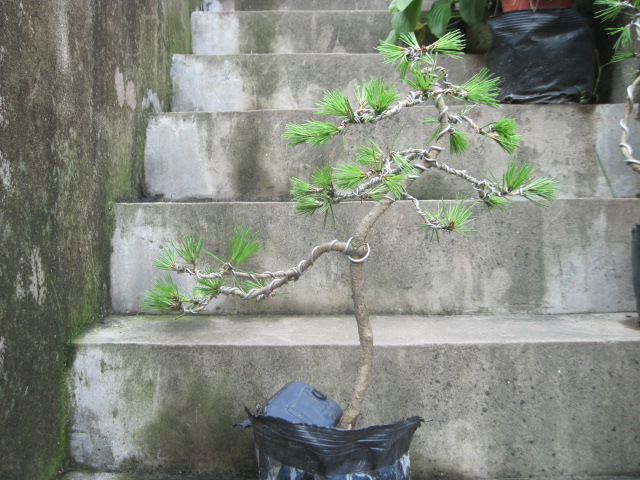 13-07-08С 004.jpg