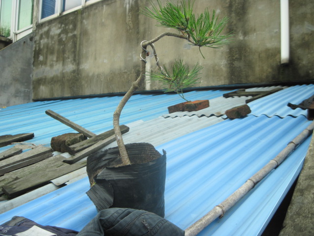 13-07-08С 005.jpg