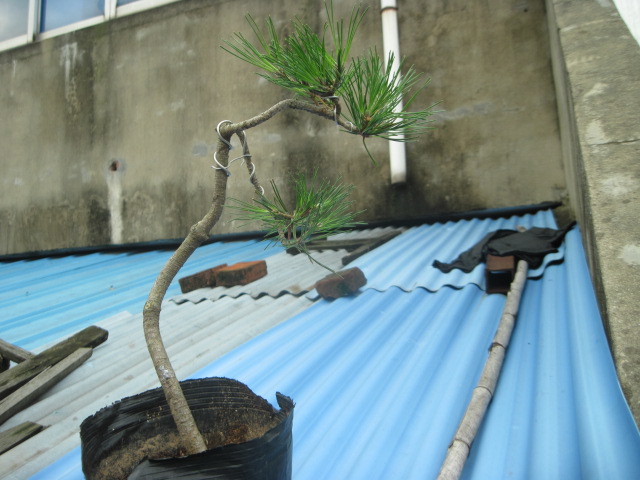 13-07-08С 006.jpg