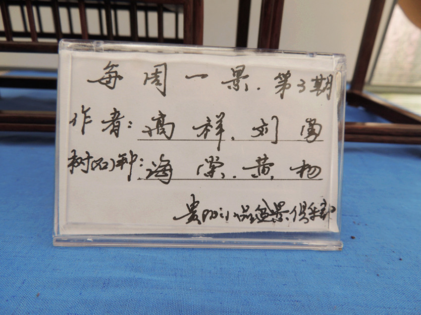 DSCN1186_.jpg
