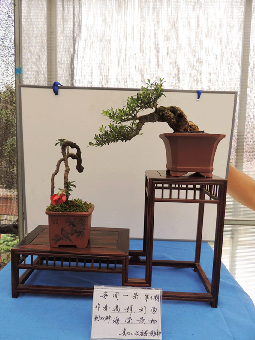 DSCN1185_ת_.jpg
