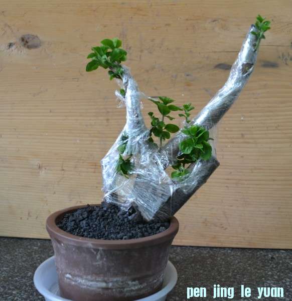 VC@JIH(B{B]H3EHO[E`S5CN.jpg