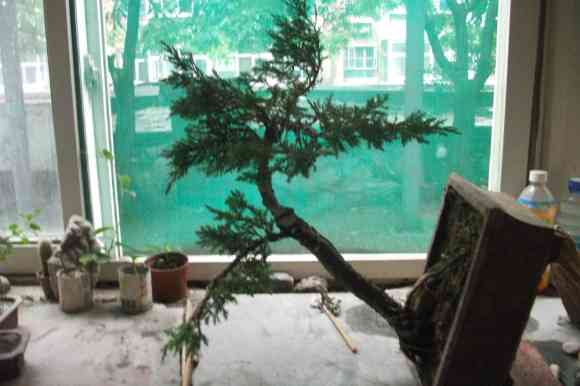 DSCF2007̰صһϰ.jpg