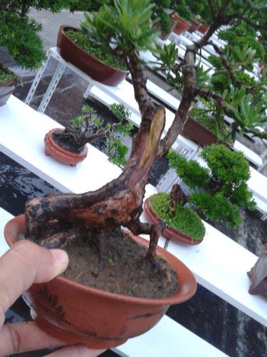 2013-07-09 19.04.56.jpg
