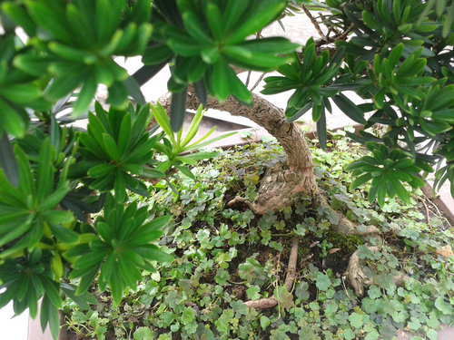 2013-07-07 15.17.56.jpg