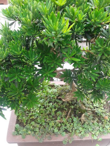 2013-07-07 13.28.49.jpg