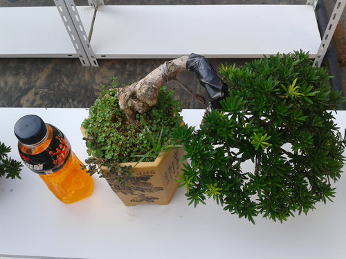2013-07-09 15.43.02.jpg