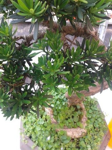 2013-07-09 15.37.55.jpg