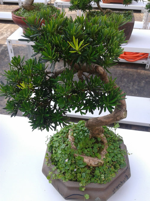 2013-07-09 15.39.57.jpg