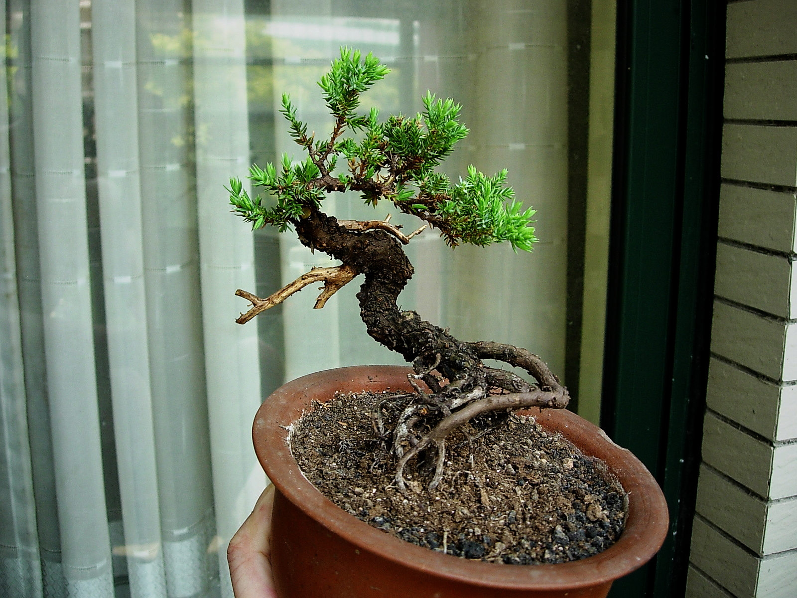 DSCN9980.JPG