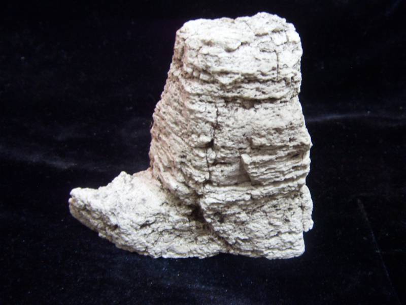 SDC11252_.jpg