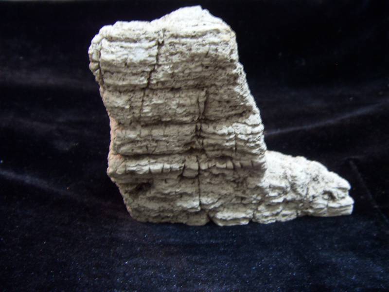 SDC11259_.jpg