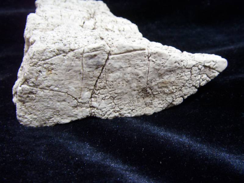 SDC11260_.jpg