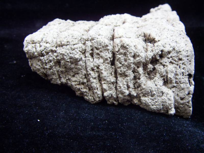 SDC11267_.jpg