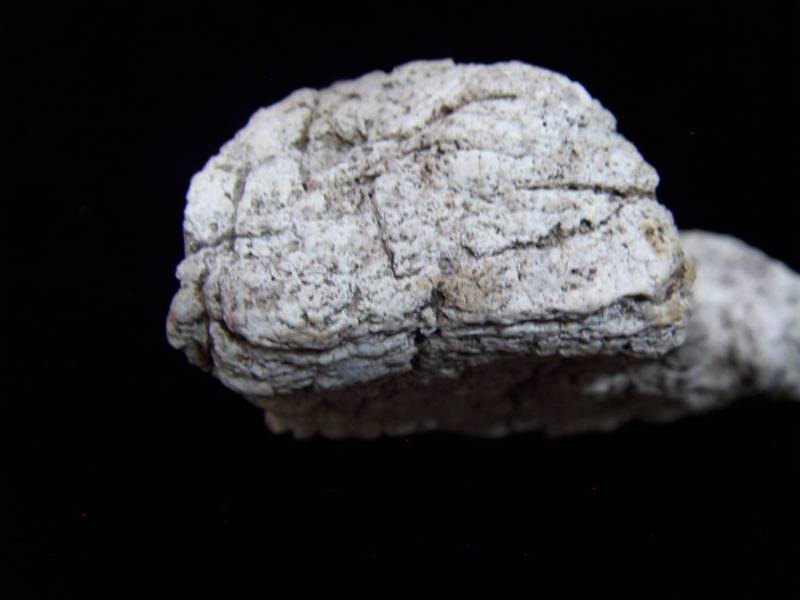 SDC11269_.jpg