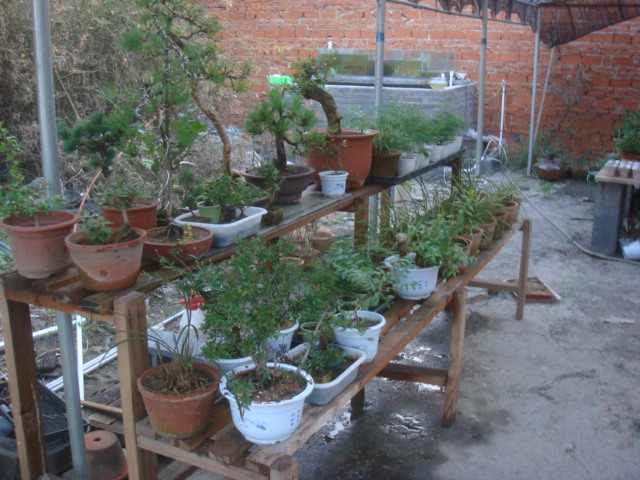 DSC02468.JPG