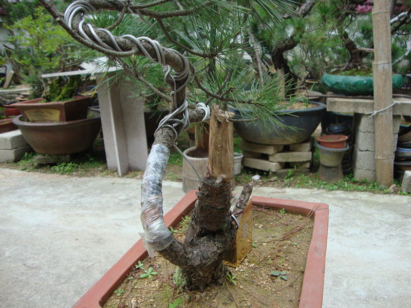 DSC01269_.jpg