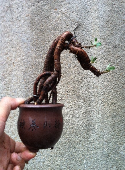 QQͼ20130712183137.jpg