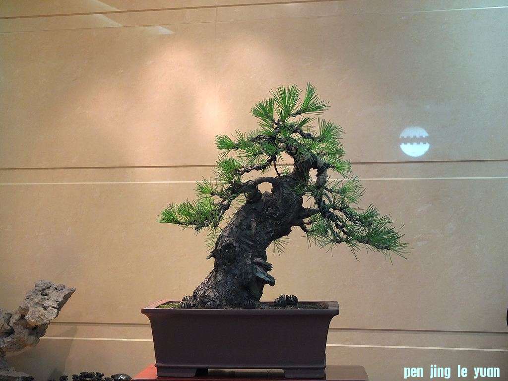 DSCF0687.jpg