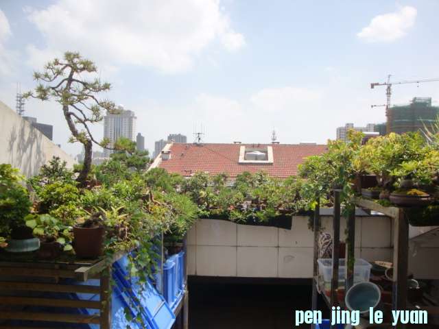 DSC04475.JPG