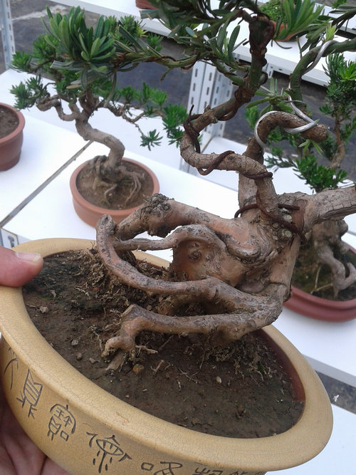 2013-07-13 15.12.19.jpg